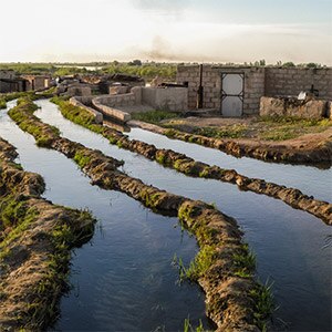 Irrigation