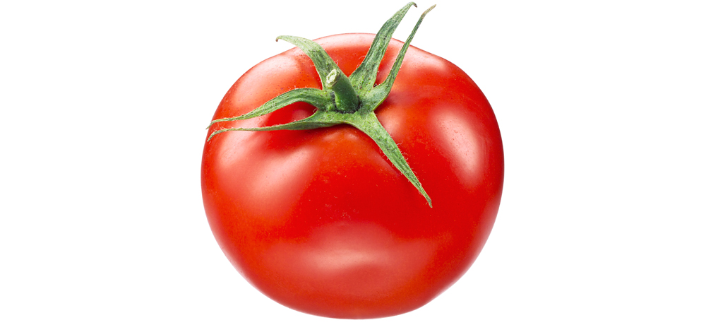Tomate  alimentarium