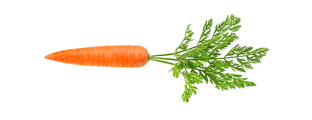 Carrot Alimentarium