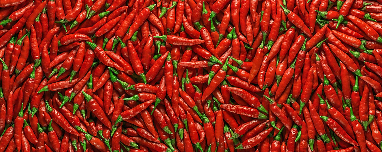 Globetrotting chilli peppers