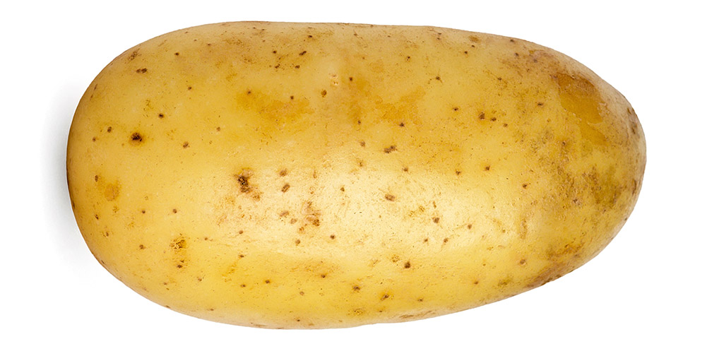 Potato  alimentarium