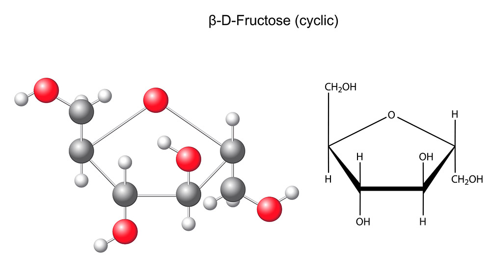 Fructose Molecule - Chemical and Physical Properties