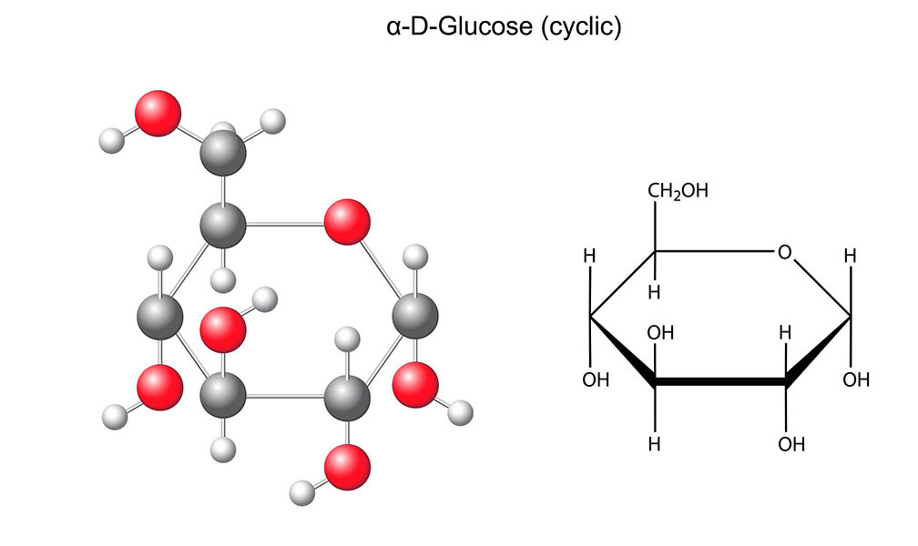 Glucose  alimentarium