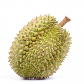 WEB-Carré-durian.png