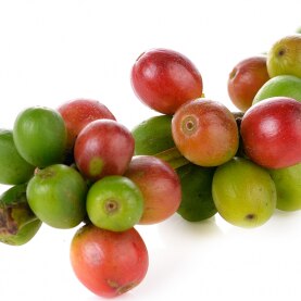 cerises-café-web-1.png