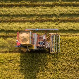 Naissance de l’agriculture, enjeux alimentaires et environnementaux