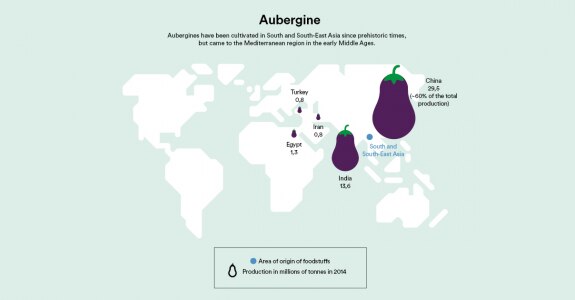 Aubergine (EN)