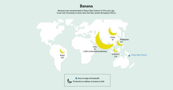 Banana