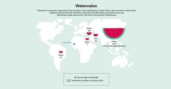 Watermelon