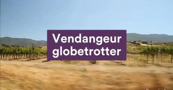 Vendangeur globetrotter